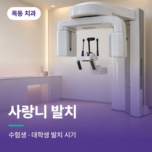 사랑니 발치